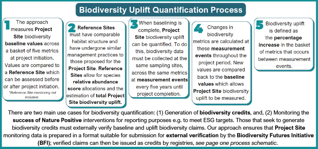 RePlanet plans pilot for monitoring of biodiversity credit projects ...
